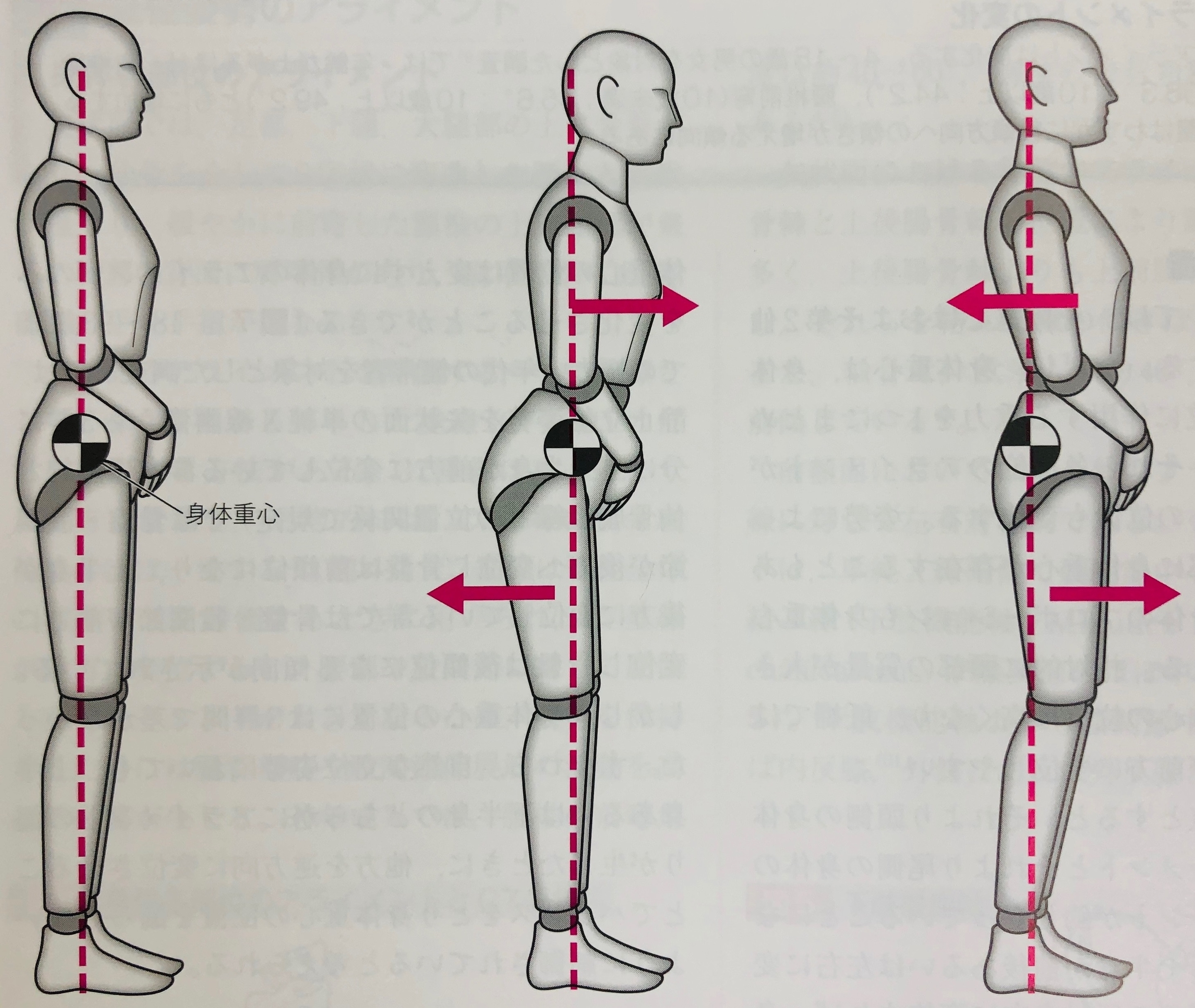 姿勢と重心